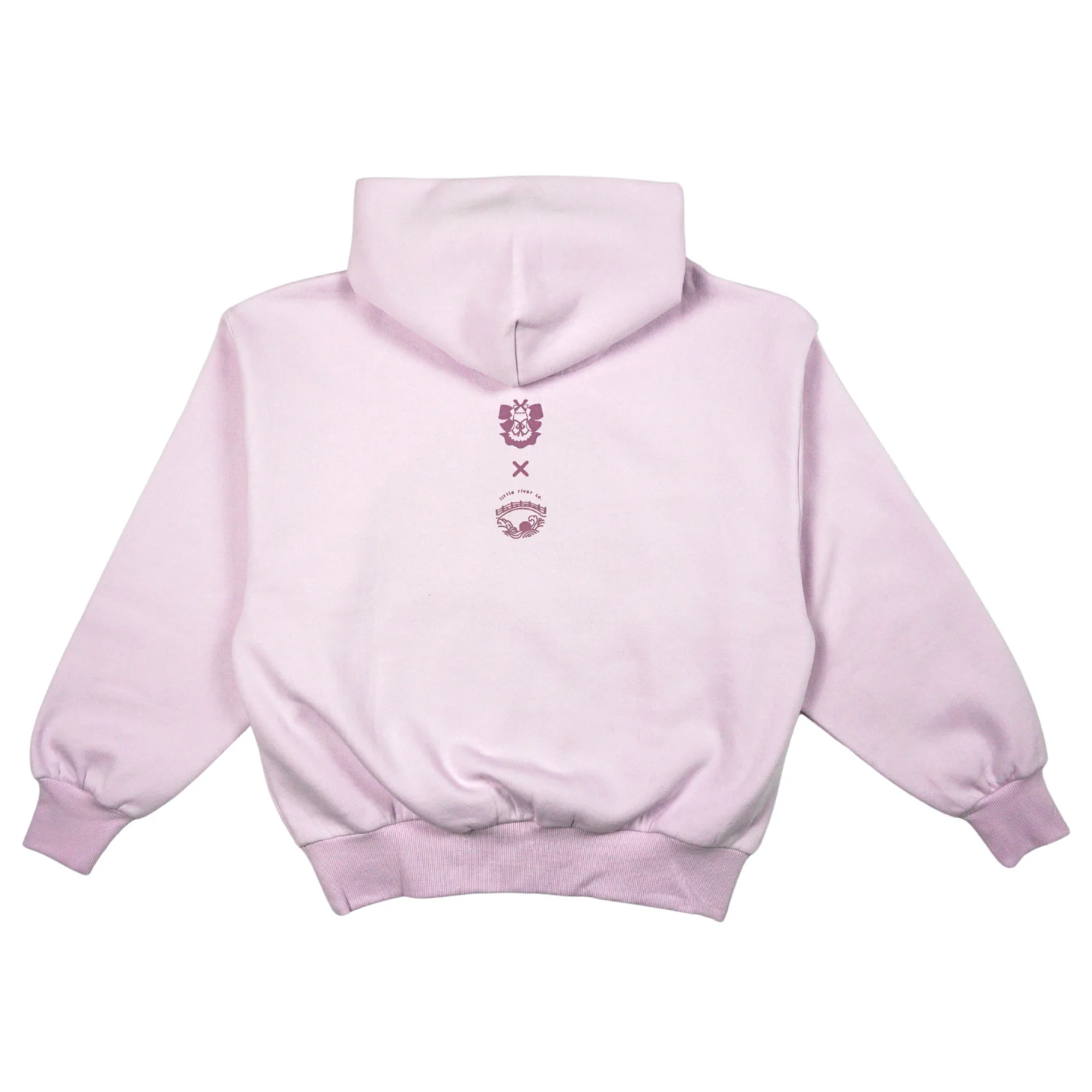 Misaki Ayuzawa / Maid Sama / Casaco com Capuz